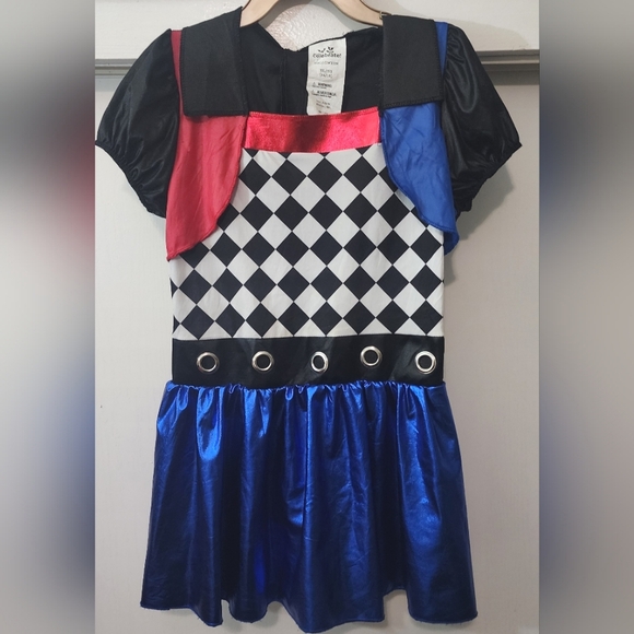Harley Quinn costume - Picture 1 of 3